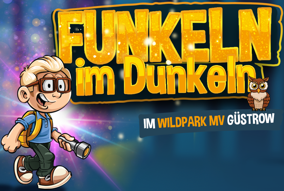 Funkeln Im Dunkeln Gustrow